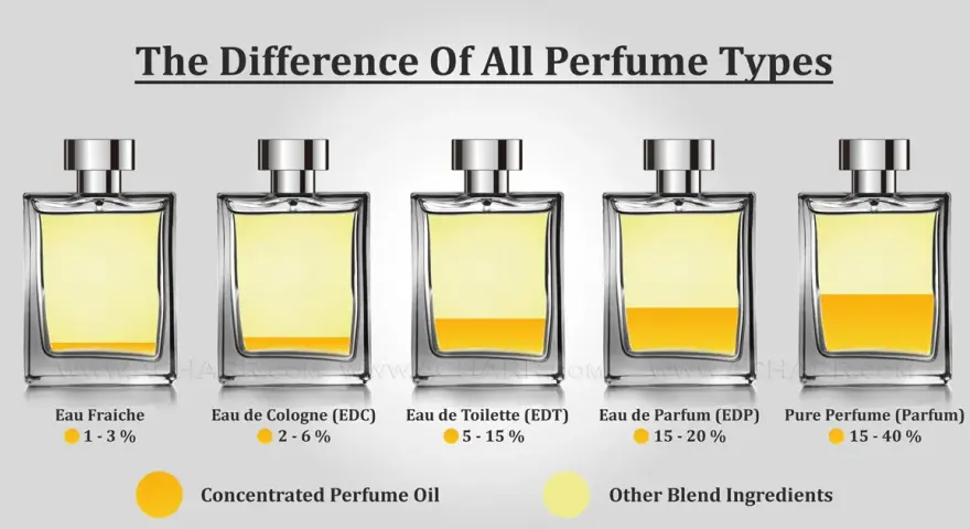 EdT vs. EdP: Der entscheidende Unterschied für Ihren Duftstil