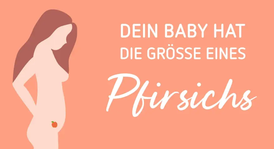 ssw 17: Dein Baby hat die Grösse eines Pfirsichs. Eine schwangere Frau mit einem kleinen Pfirsich auf dem Bauch.