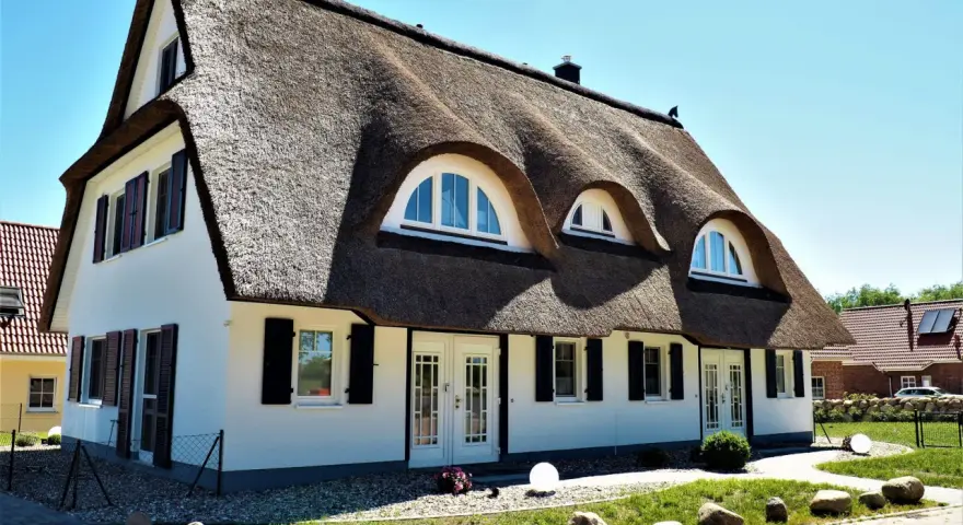 Ein Haus mit Reetdach und einem Hund, der auf dem Dach sitzt.