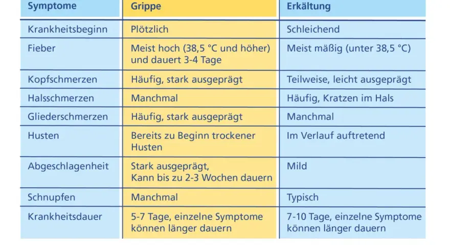 Grippaler Infekt: Symptome erkennen & von Grippe unterscheiden