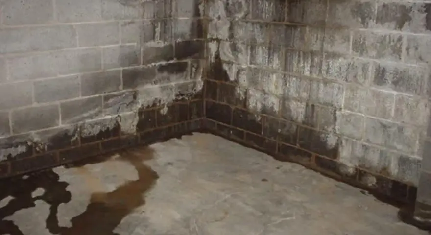 Water stains and pooling on a concrete floor and cinder block walls indicate a serious moisture problem. Learn how to get rid of moisture in basement effectively.