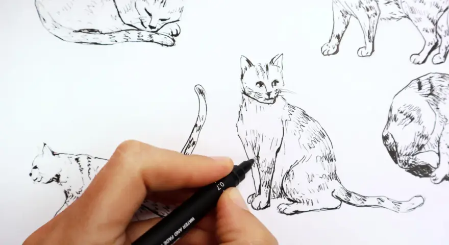Main d'artiste en train de dessiner un chat réaliste au feutre noir. Plusieurs croquis de chats sont visibles.
