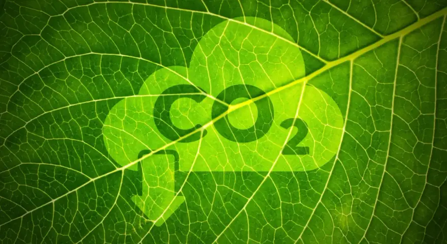 Redukcja emisji CO2: Co musisz wiedzieć o zielonej transformacji?