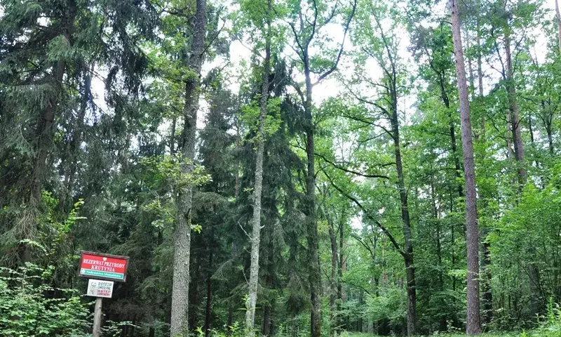 Rezerwat przyrody Krutynia - unikalne atrakcje i dzika przyroda
