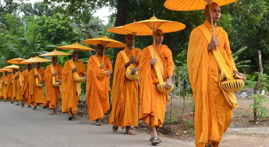 A procession of monks in saffron robes, carrying alms bowls and yellow umbrellas, walk down a road.
