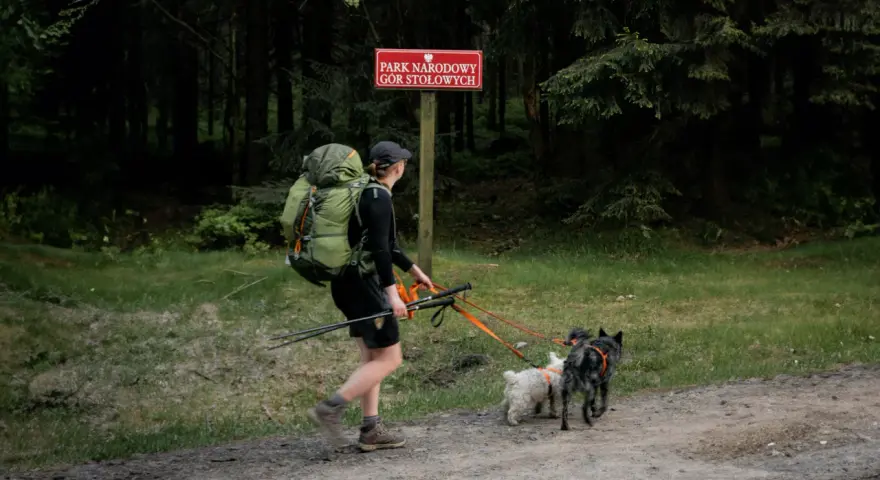 Spacerka po Bory Tucholskie z dwoma psami. W tle znak Parku Narodowego Gór Stołowych.