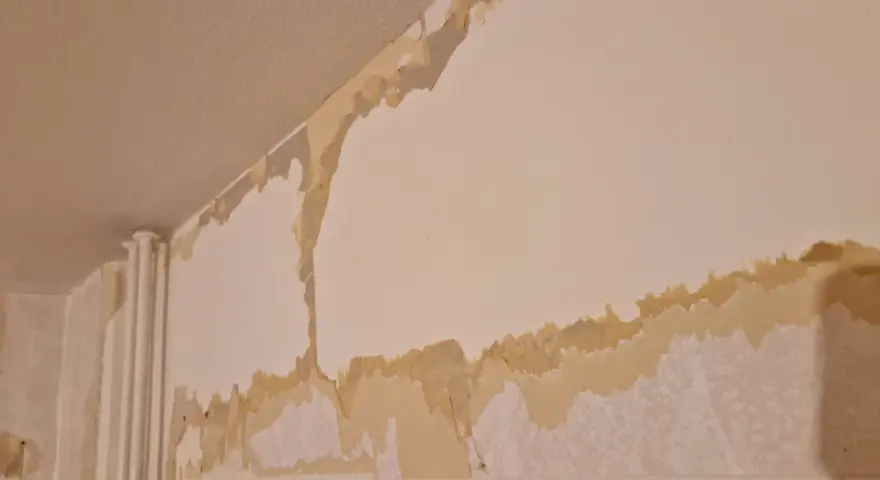 Tapeten flagnar och visar lager av gammal färg och papper. En renovering är på gång, där man förbereder för att måla på tapet.