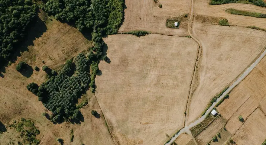 Działki z prawomocną WZ przed 30 czerwca 2026: inwestorzy widzą potencjał w krajobrazie pól i lasów.