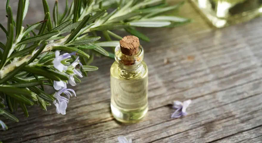 Frischer Rosmarin mit Blüten neben einer kleinen Glasflasche, die zeigt, wie man Rosmarinextrakt herstellen kann.