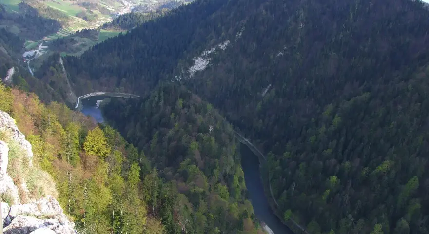 Widok z góry na malownicze góry z przełomem Dunajca, otoczone gęstym lasem i zielonymi dolinami.