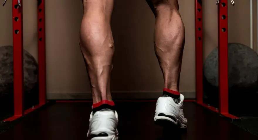 Jambes musclées, mollets sculptés par l'entraînement. Des veines saillantes témoignent d'un travail acharné pour muscler le mollet.