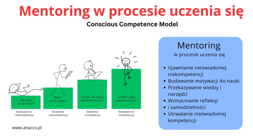 Mentor to ten, kto wspiera rozwój, pokazując etapy uczenia się: od nieświadomości do automatyzmu.