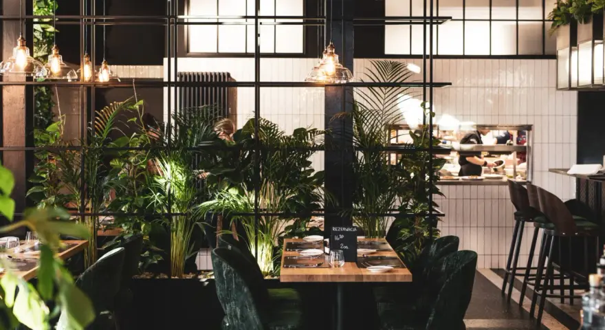 Łódź: Gdzie zjeść obiad? Odkryj TOP restauracje na każdą okazję!