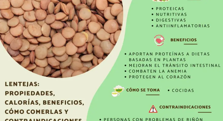 Primer plano de lentejas secas, con información sobre sus propiedades, beneficios y contraindicaciones. Aunque las lentejas engordan si se consumen en exceso, son nutritivas.