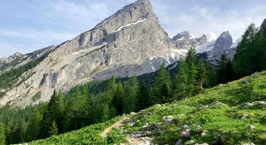 Pfad zum Watzmann. Grüne Almwiesen mit gelben Blumen und Felsen, im Hintergrund der majestätische Watzmann. Perfekt für eine Wanderung.