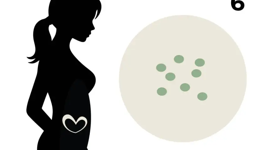 Silhouette einer schwangeren Frau mit einem Herzsymbol im Bauch. Daneben eine runde Fläche mit der Zahl 6 und mehreren kleinen grünen Punkten, die eine Schwangerschaft in der 6. SSW symbolisieren.