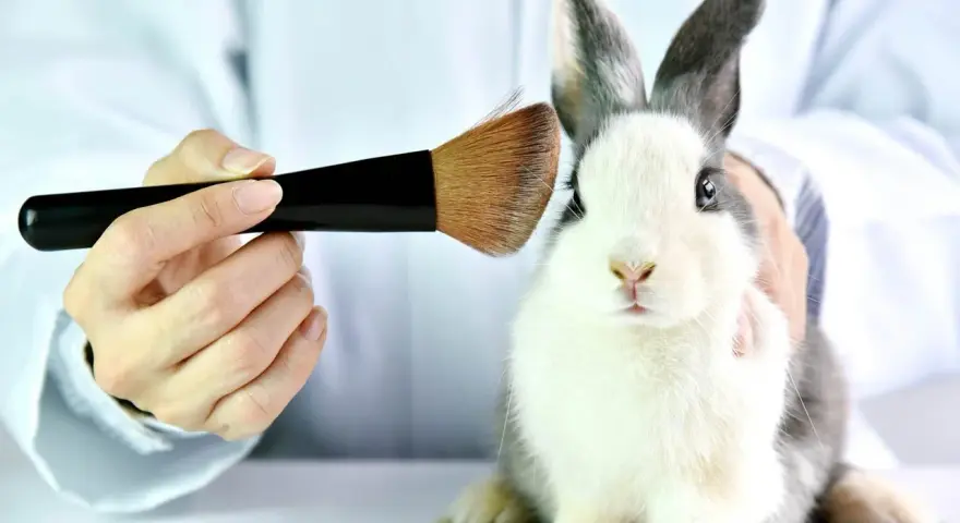 Kosmetik: Tierversuche trotz Verbot? Ihr Guide für den tierfreien Kauf