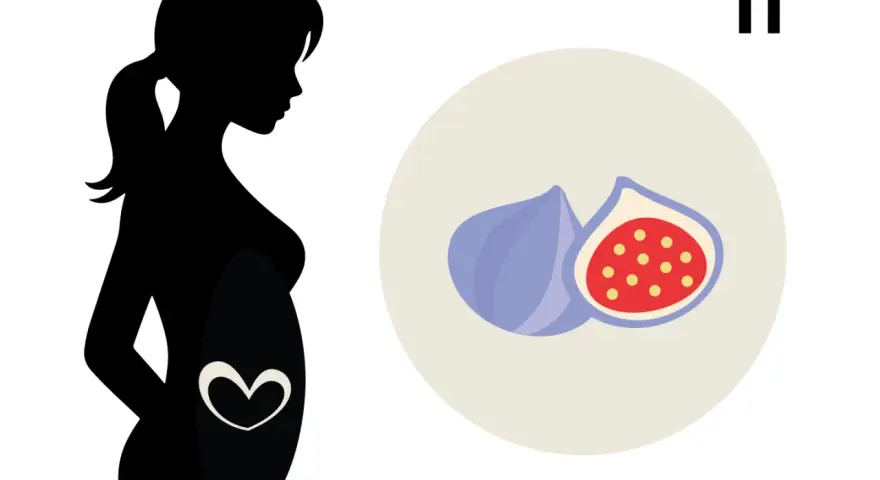 Silhouetten einer schwangeren Frau mit einem Herzsymbol auf dem Bauch. Daneben Feigen, die die 11. SSW symbolisieren.