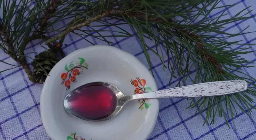 Syrop z sosny na jaki kaszel? Łyżeczka z ciemnoczerwonym syropem sosnowym na talerzyku, gałązka sosny i szyszka.
