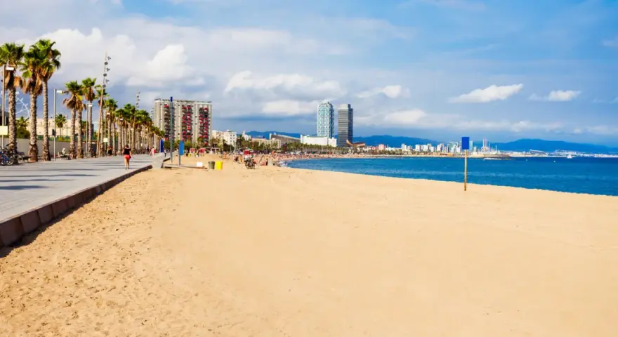 Słoneczna plaża w Barcelonie, palmy, deptak i błękitne morze. W oddali widać panoramę miasta.