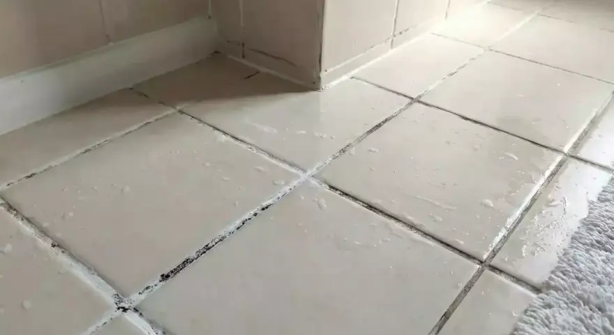 Des joints de carrelage encrassés, peut-être par du salpêtre, attendent un nettoyage.