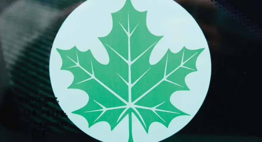 Zielony listek Orlen, symbol ekologii i troski o środowisko, widoczny na szybie.