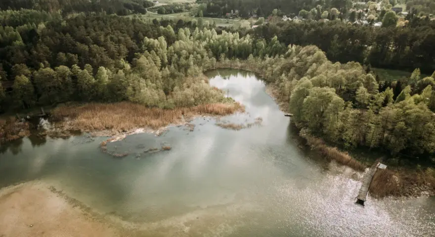 Malownicze jezioro Świętajno otoczone lasami i trzcinami. W oddali widać zabudowania wsi.