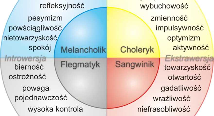 Jaki masz typ osobowości? Odkryj, co mówi o Tobie Twój wynik