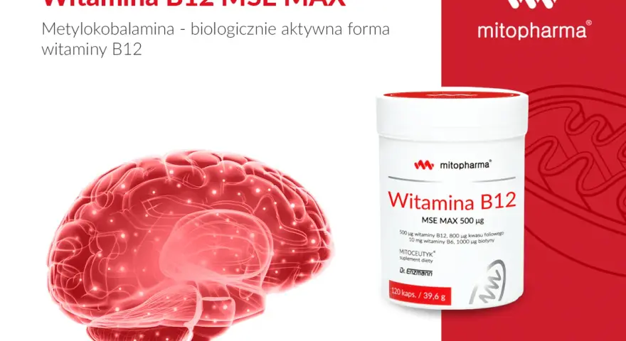 Wsparcie dla mózgu: witamina B12 na co pomaga. Czerwony mózg i opakowanie suplementu diety z witaminą B12.