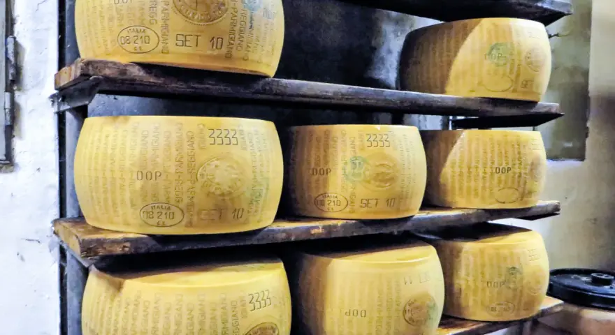 Prawdziwy parmezan: jak rozpoznać DOP i odróżnić od Grana Padano
