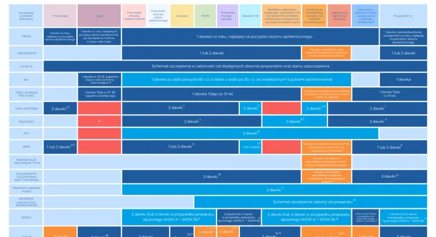 Schemat szczepień dorosłych 2025/2026, uwzględniający m.in. szczepionkę dtp.