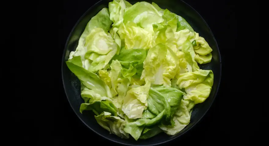 Frischer Kopfsalat in einer Schüssel, bereit für ein einfaches Kopfsalat Rezept.