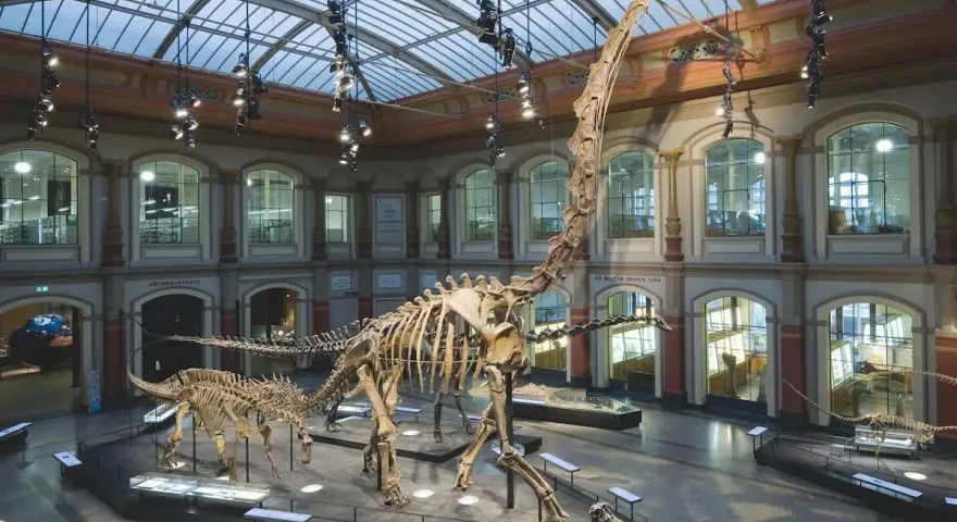 W muzeum prehistorii imponujące szkielety dinozaurów, w tym gigantyczny brachiozaur, przyciągają wzrok pod szklanym dachem.