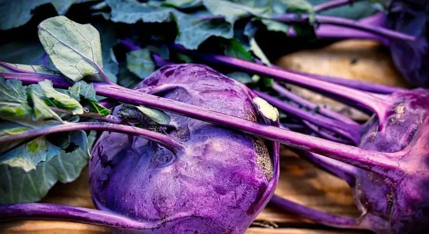 Gros plan sur des choux-raves violets aux tiges et feuilles vertes sur fond de bois.