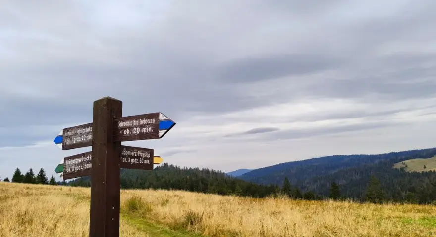 Drewniany drogowskaz w górach, wskazujący szlaki na gorce szczyty. W tle las i zachmurzone niebo.