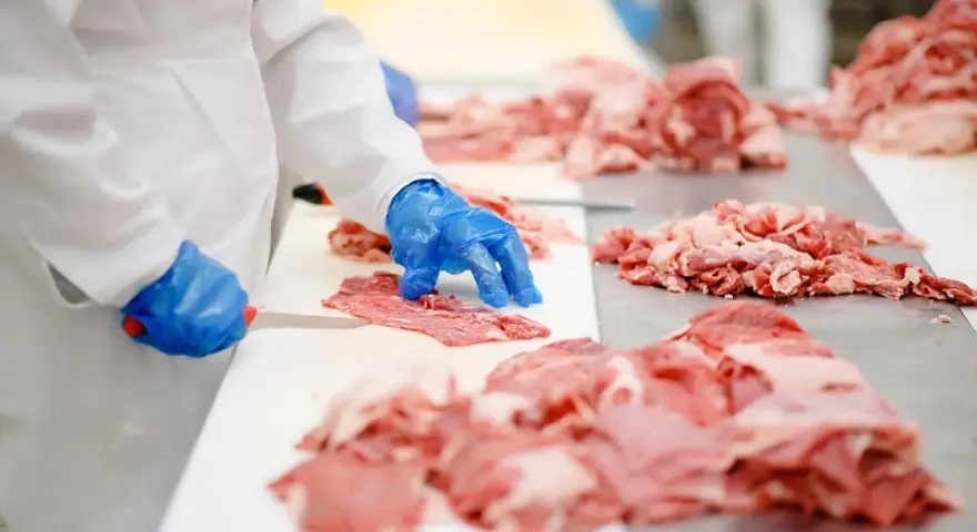 Rodzaje mięsa w kebabie: Jak rozpoznać jakość i unikać 'kuli mocy'?