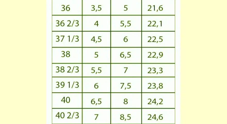 Tabela rozmiarów obuwia: 8,5 US to 40 2/3 EU i 24,6 cm.