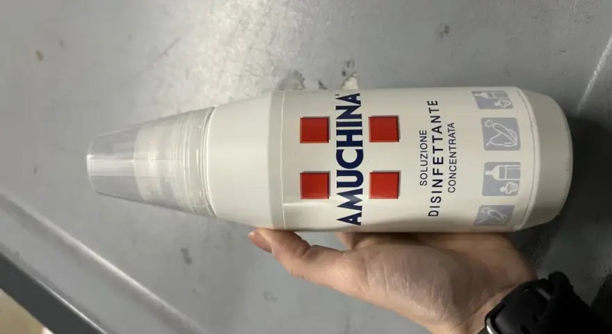 Mano tiene flacone Amuchina per disinfettare ciuccio. Soluzione disinfettante concentrata per igiene.