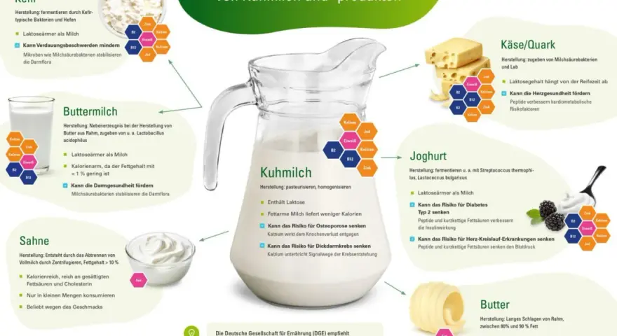Die DGE empfiehlt täglich 2 Portionen Milchprodukte. Eine Portion sind 250 ml Milch, Kefir, Buttermilch oder 150g Joghurt.
