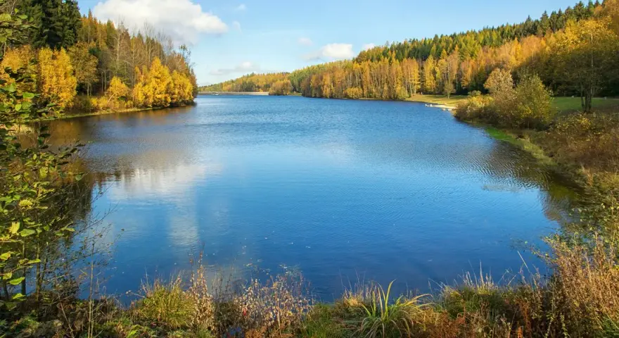 Herbstliche Farben umrahmen die Talsperre Falkenstein. Das Wasser spiegelt den blauen Himmel und die bunten Bäume wider.