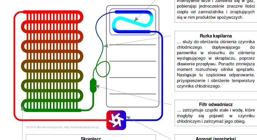 Jak działa lodówka? Odkryj sekrety chłodzenia i oszczędzaj prąd!