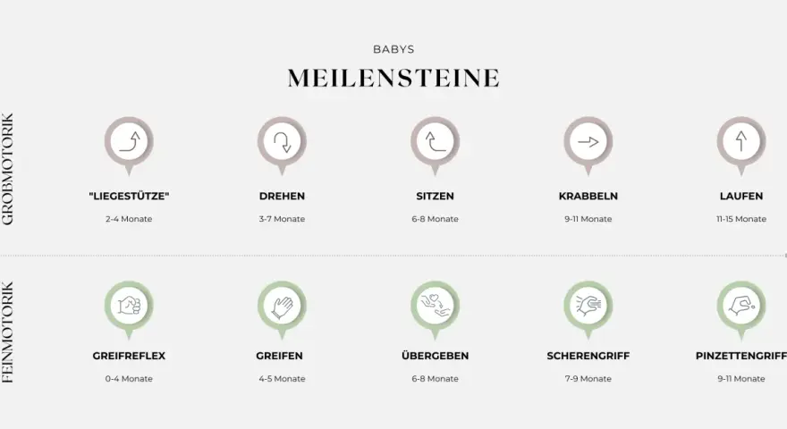 Übersicht der Meilensteine der Baby-Entwicklung: Grob- und Feinmotorik von "Liegestütze" bis "Laufen" und "Pinzettengriff".