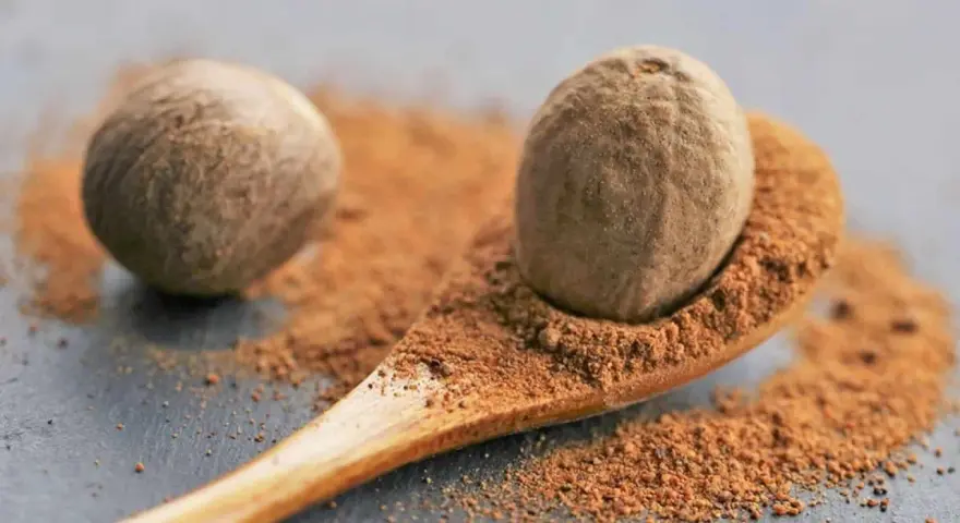 Eine Muskatnuss auf einem Holzlöffel mit gemahlenem Muskatnuss. Vorsicht bei Muskatnuss in der Schwangerschaft.