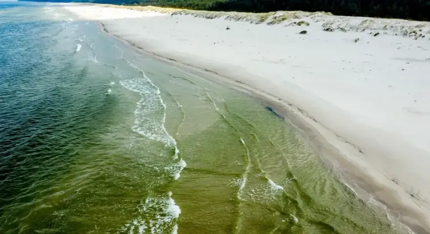 Plaża Słajszewo: szeroka, piaszczysta plaża z zielonymi wodami Bałtyku i lasem w tle. Idealne miejsce na spokojny spacer.