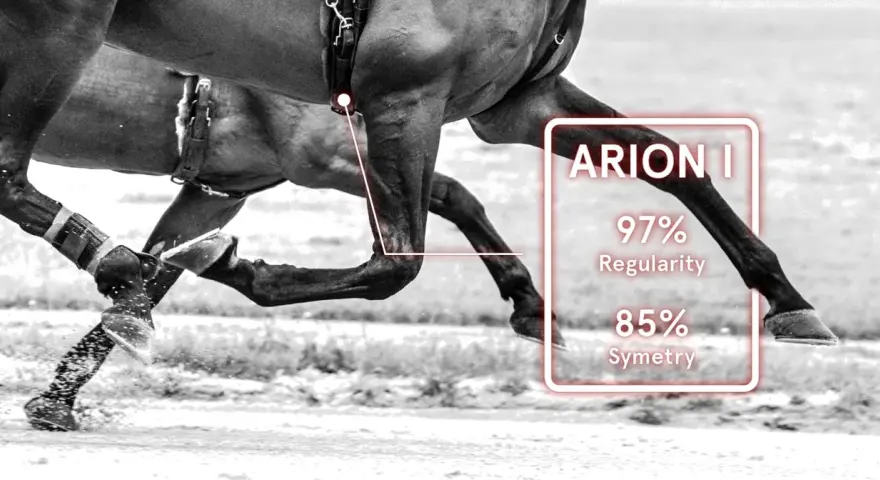 L'allure cheval est analysée : 97% de régularité et 85% de symétrie.
