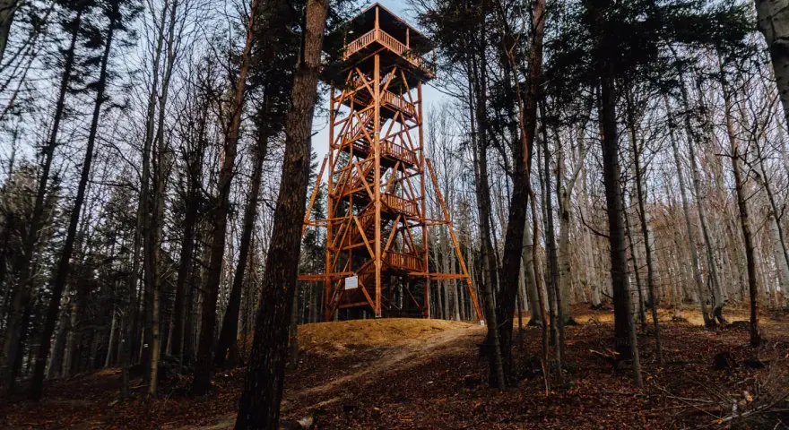 Drewniana wieża widokowa Ferdel wznosi się pośród jesiennego lasu, zapraszając do podziwiania panoramy.