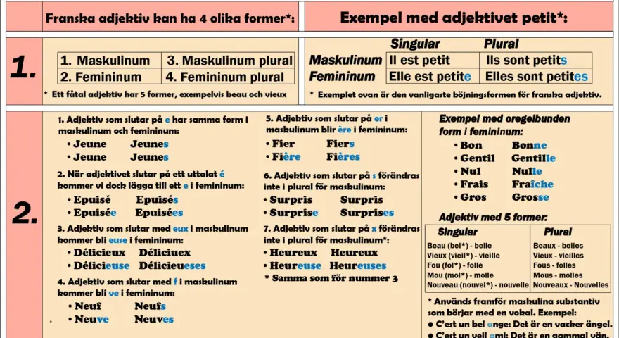 Franska adjektiv böjs. Exempel: "petit" blir "petite" i femininum.