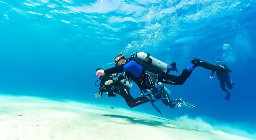 Marsa Alam: Co warto zobaczyć? Podwodne cuda i pustynne przygody