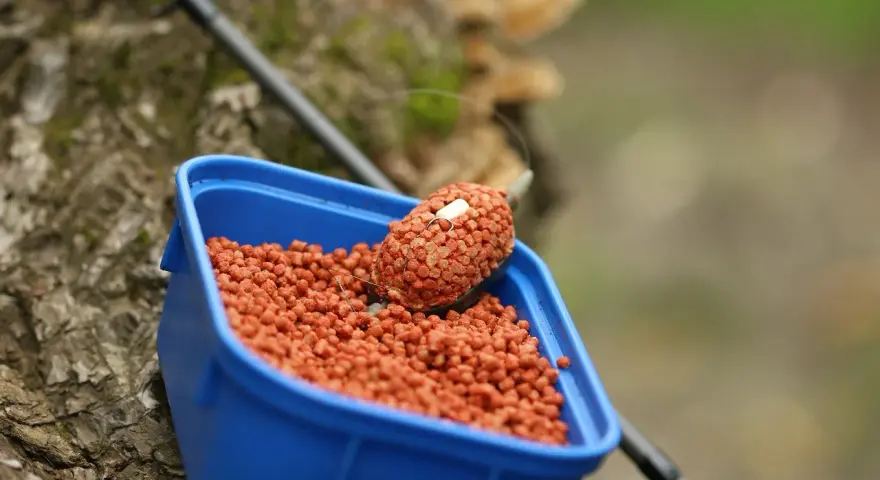 Zbliżenie na niebieskie pudełko z pomarańczowym pelletem, idealnym jako jaki pellet do metody na karpia. Na wierzchu znajduje się podajnik z przynętą.