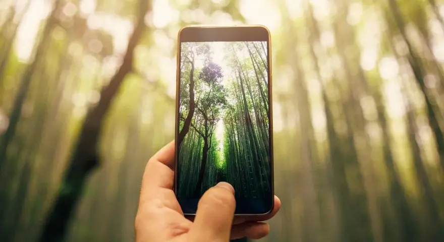 Jaka jest najlepsza rozdzielczość aparatu w telefonie, aby uniknąć rozczarowania?